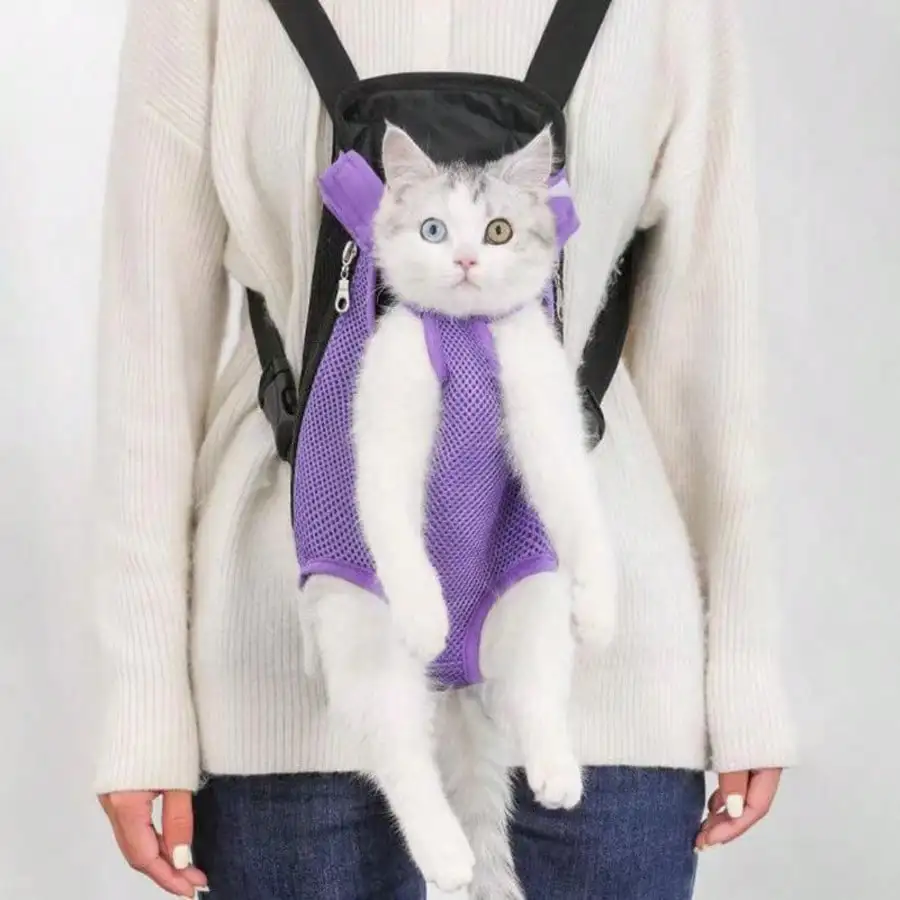 view